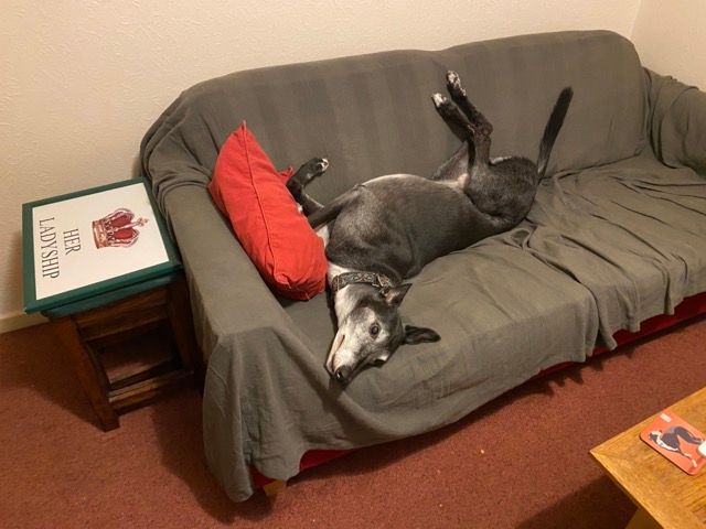 Graham super relaxed