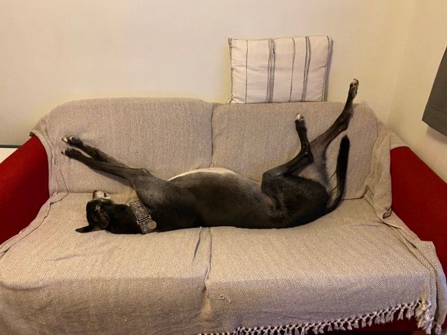 Graham as a stretchy boy