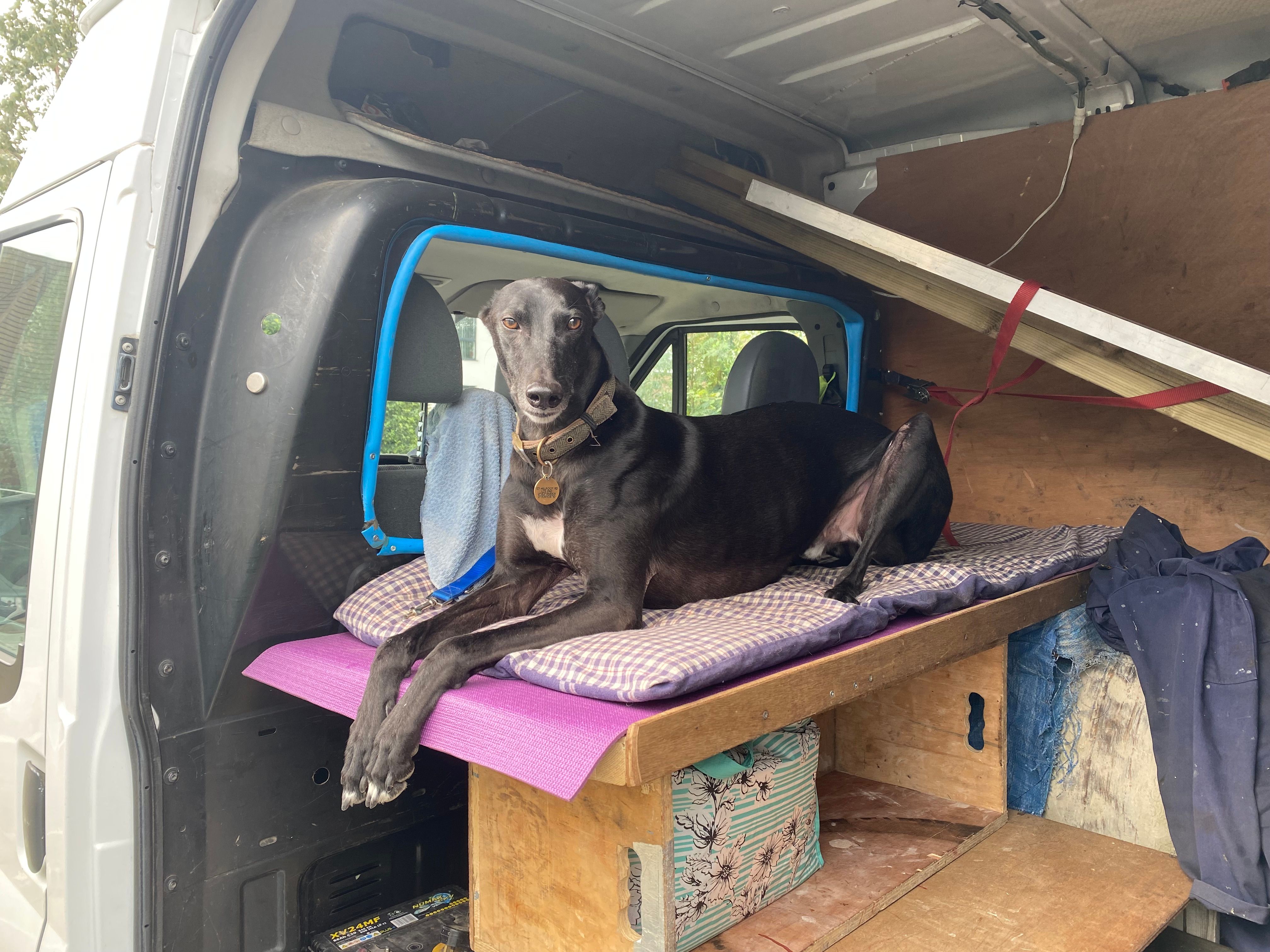 Fred is the King of the Van