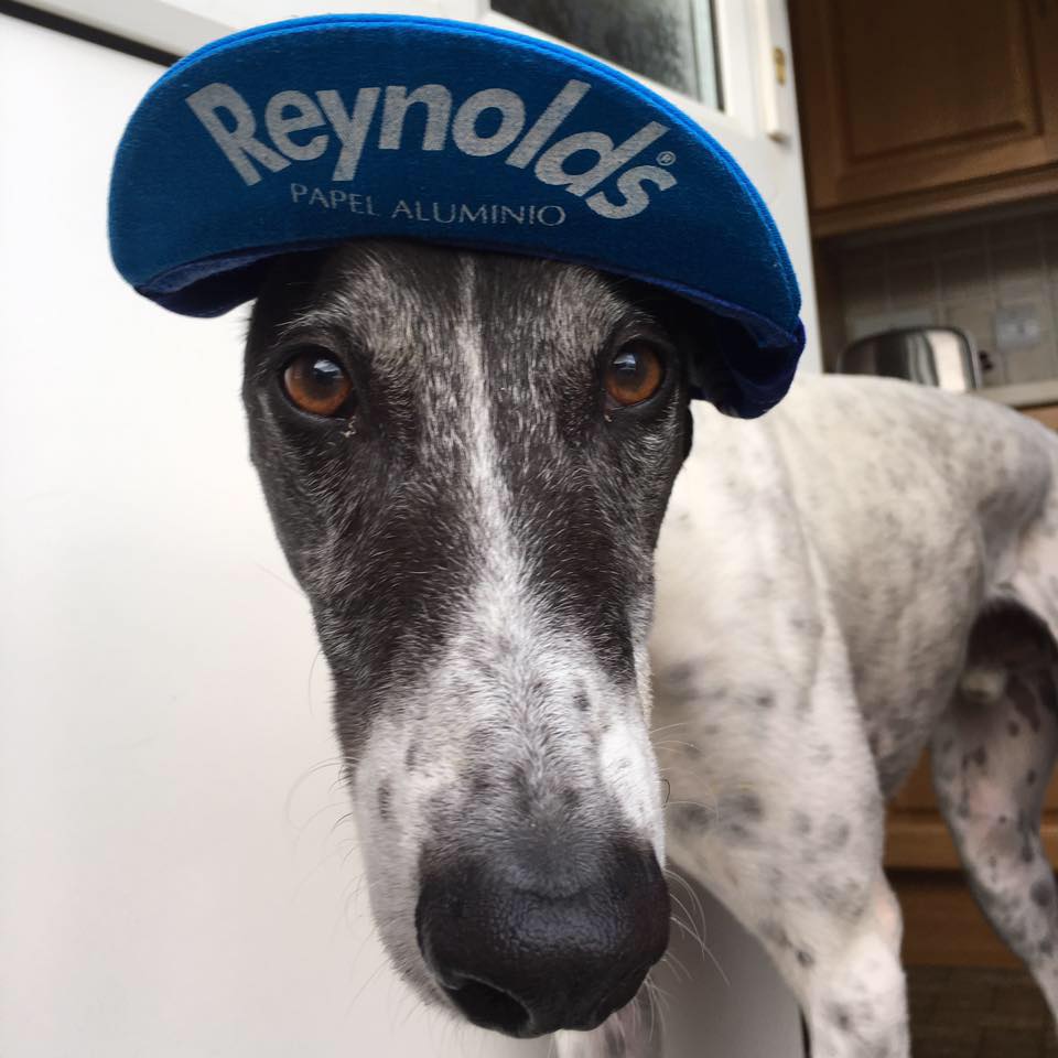 Rupert rocking the casquette